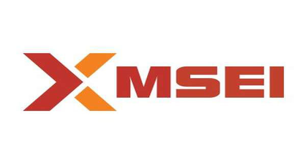 MSEI Unlisted Shares Buy & Sell, Metropolitan Stock Exchange of India (MSEI) Unlisted Shares Traders, MSEI Unlisted Shares In India, metropolitan stock exchange