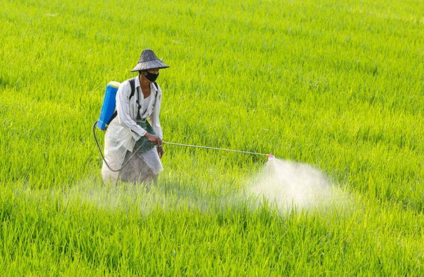 Grey market signals solid listing for India Pesticides