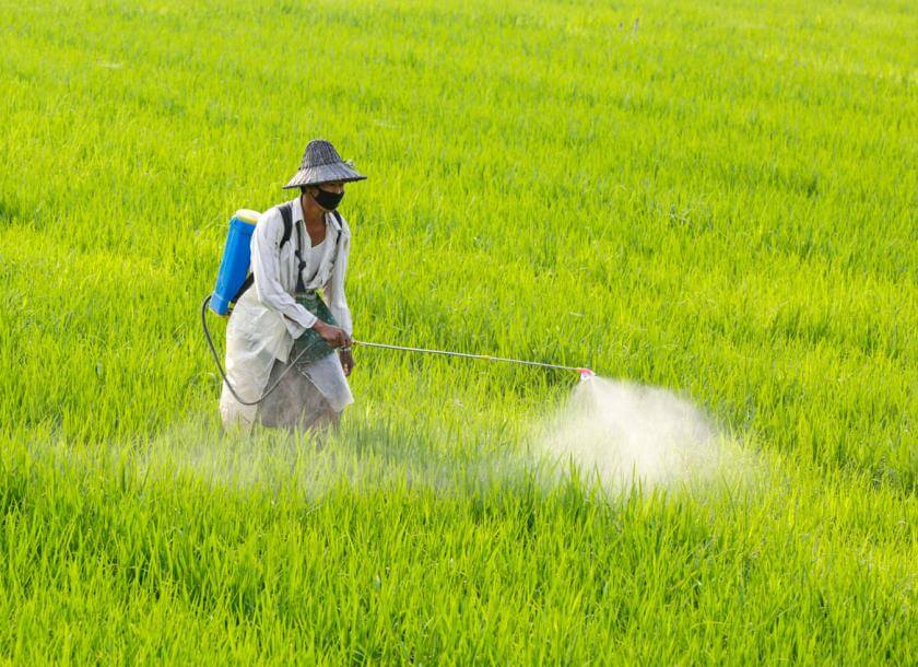Grey market signals solid listing for India Pesticides